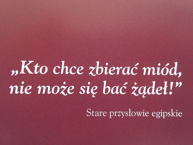 Spotkanie z pszczelarzem